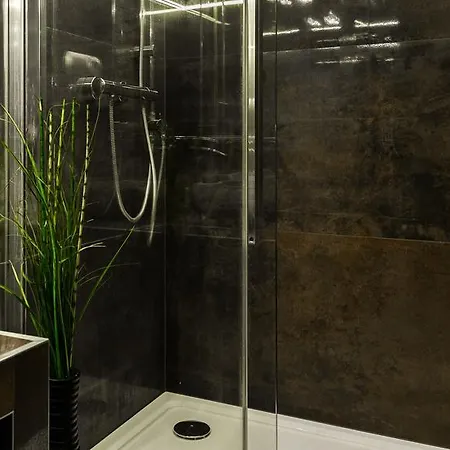 Przy Dolinie Koscieliskiej Apartment Koscielisko